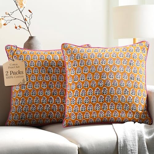 Anthro Throw Pillows