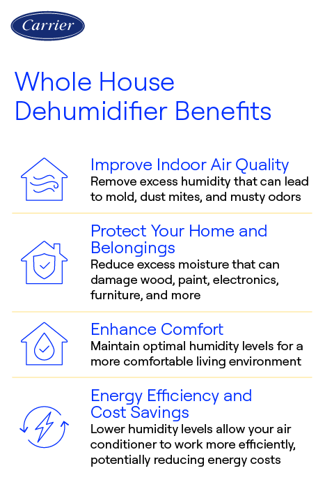 Are Whole Home Dehumidifiers Worth It