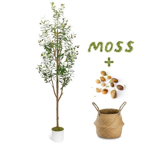 Best Artificial Trees for Living Room