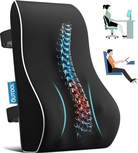 Best Back Cushion for Office Chair