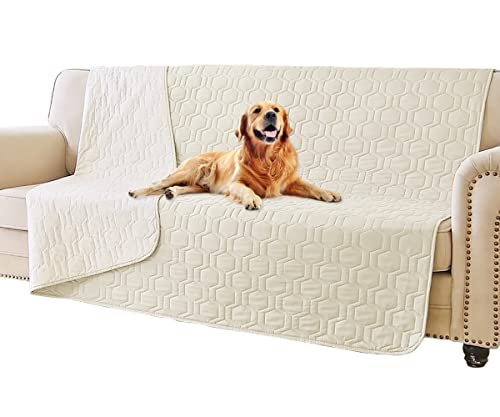 Best Couch Protectors for Dogs