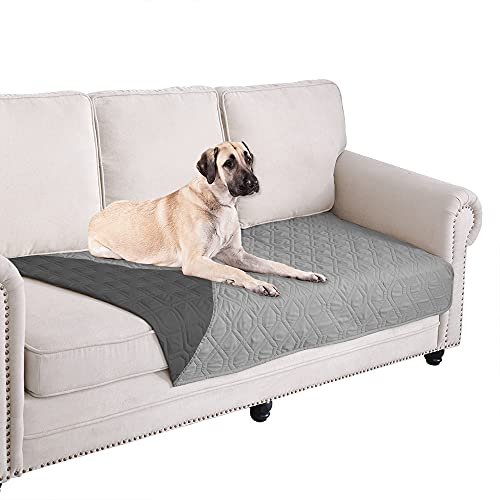 Best Couch Slipcovers for Pets