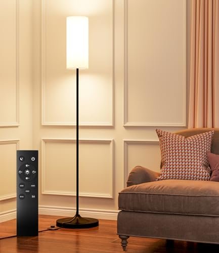 Best Floor Lamp for Dark Room