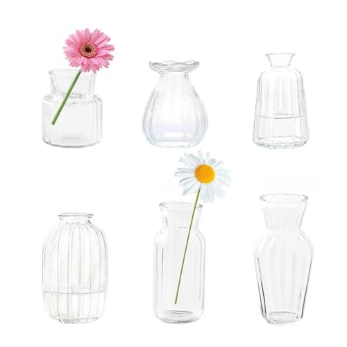 Best Flowers for Bud Vases