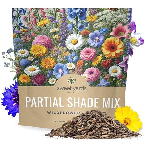 Best Perennials for Partial Shade