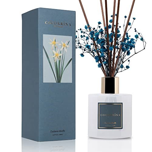 Best Reed Diffusers for Home
