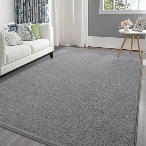 Best Rugs for Allergies And Asthma