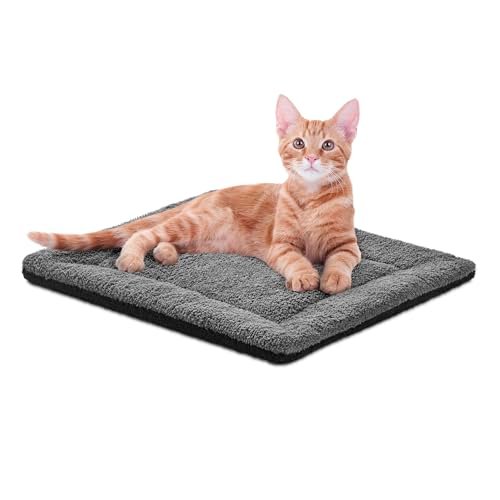 Best Rugs for Cats