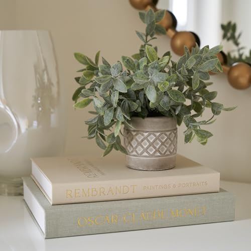Decorative Accents for the Home