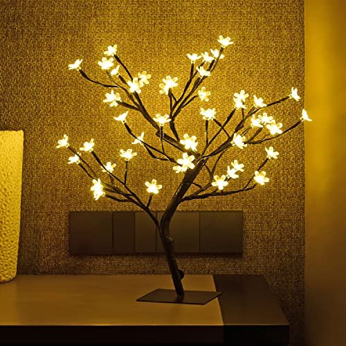 Decorative Home Lighting
