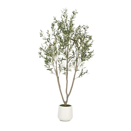 Home Decorators Trees