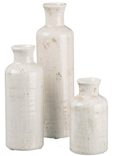 Home Goods Decorative Vases