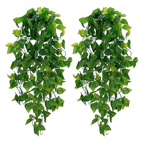 Home Goods Wall Hangings