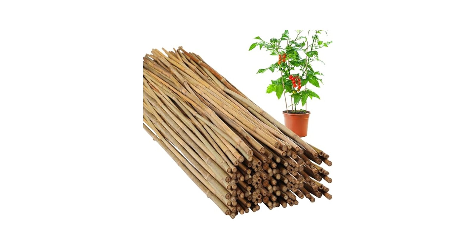 How Many Bamboo Sticks to Keep at Home