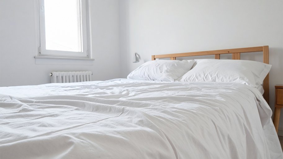How Much for Bed Bug Treatment in Two Bedroom Apartment