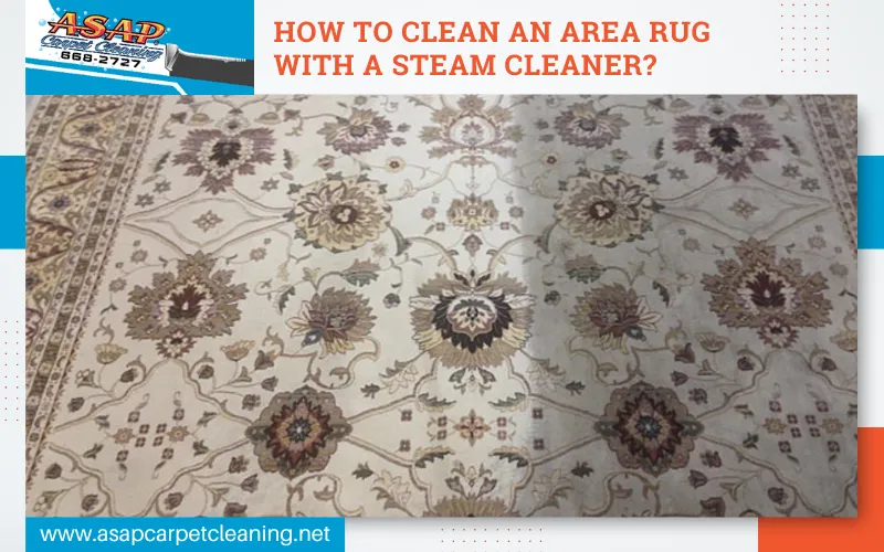 How to Clean a Wool Area Rug at Home
