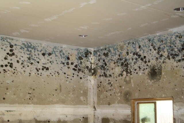 How to Clean Mold in Bedroom