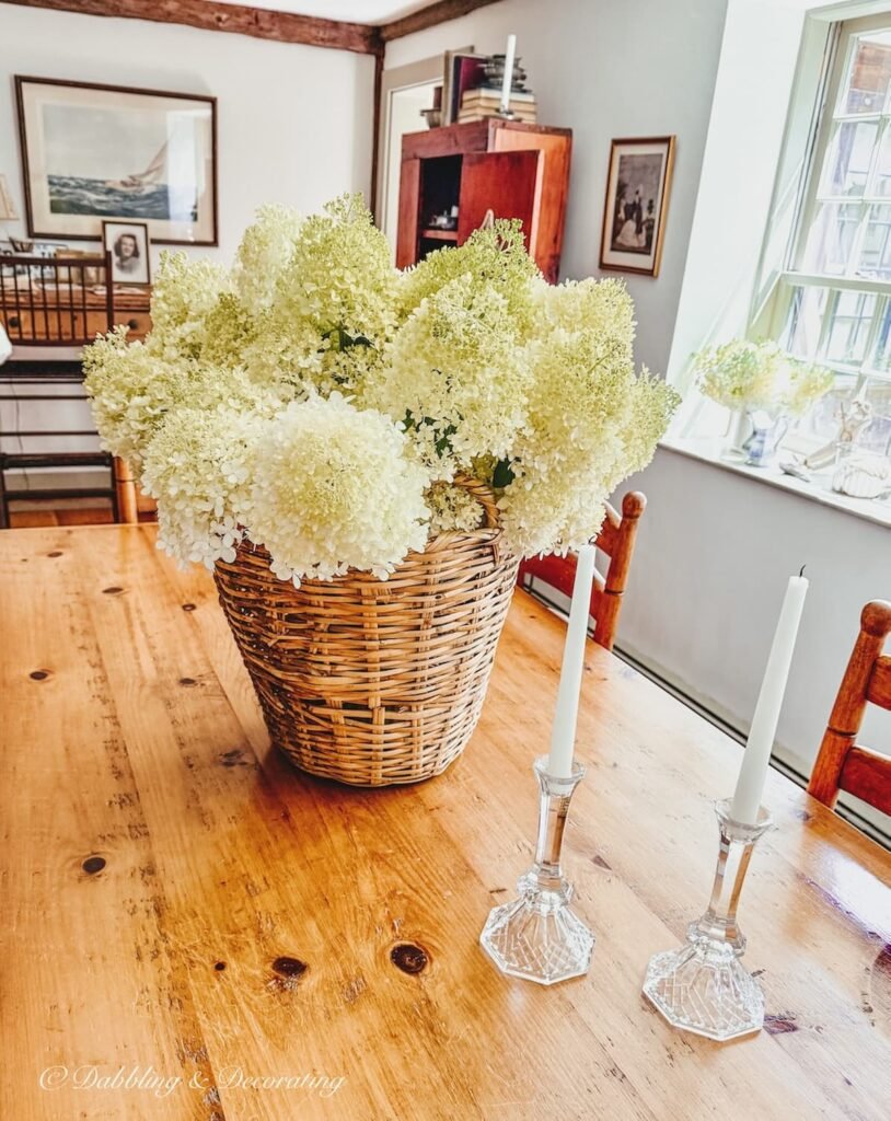 How to Decor Living Room With Bush Pots on Tables