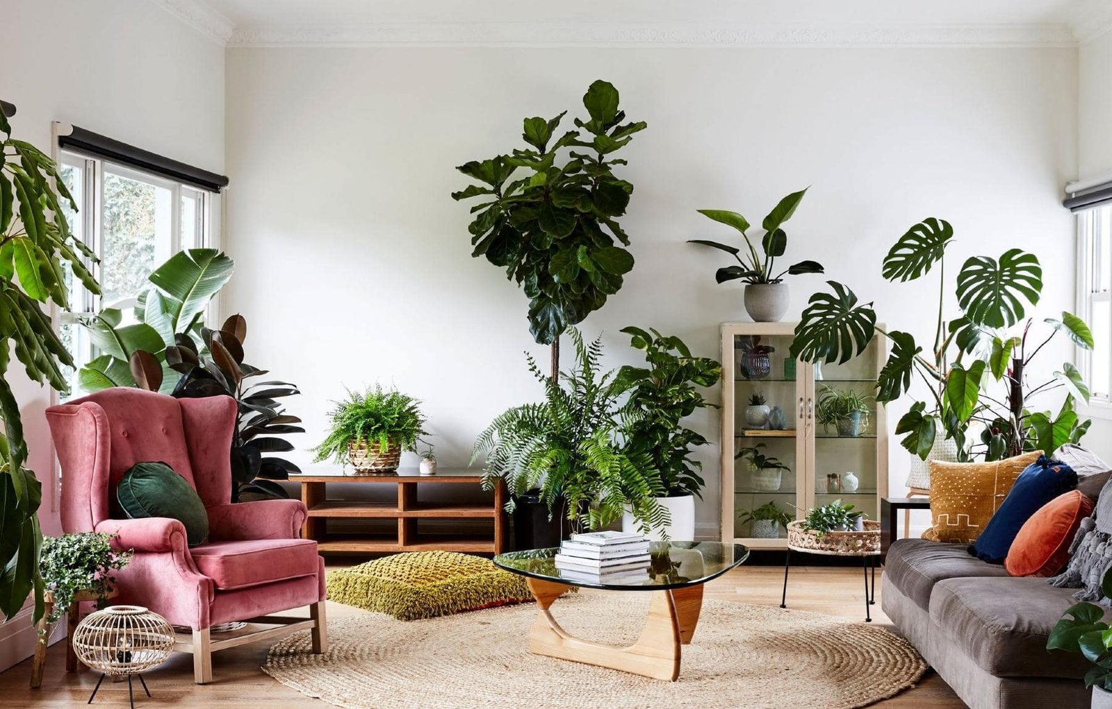 How to Decorate Living Room With Plants