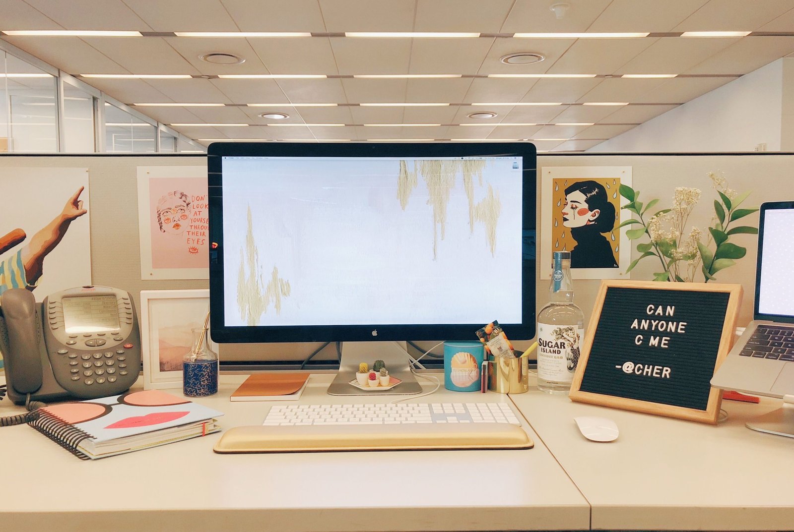 How to Decorate Your Office Cubicle