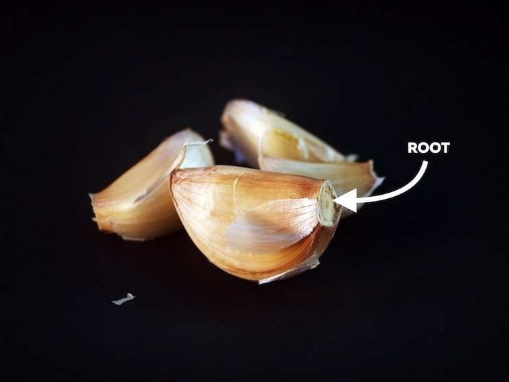 How to Grow Garlic Bulbs at Home
