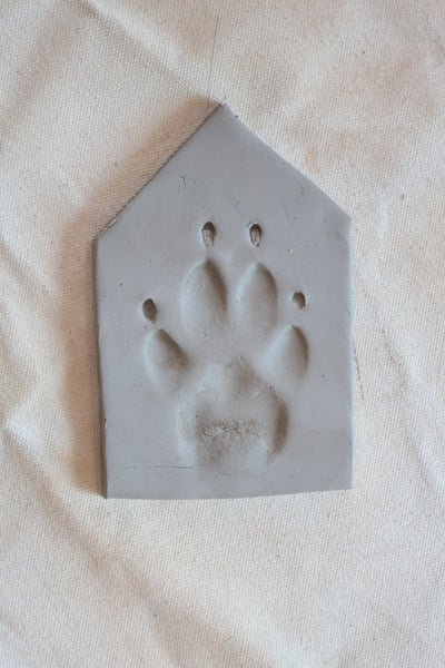 How to Make a Clay Paw Print at Home