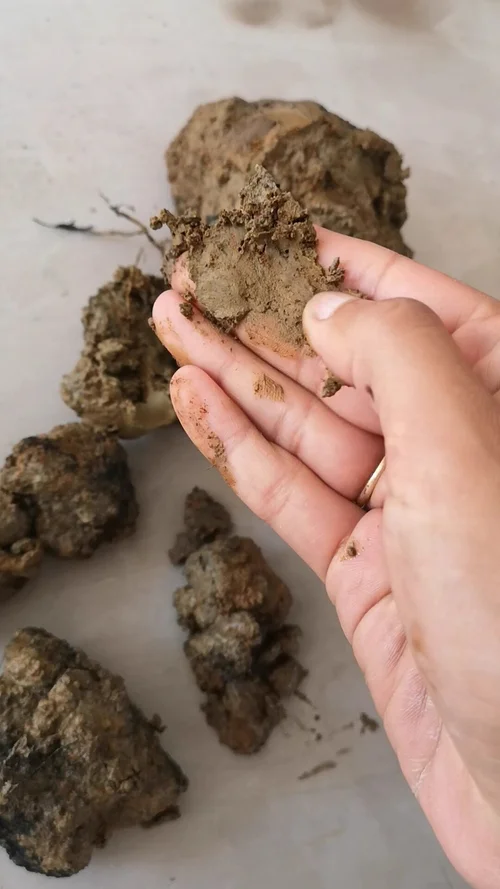 How to Process Clay from the Ground at Home
