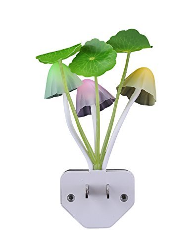 Light Up Home Decor