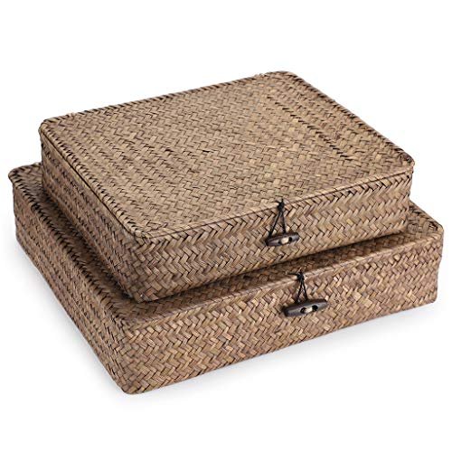 Organic Modern Home Decor