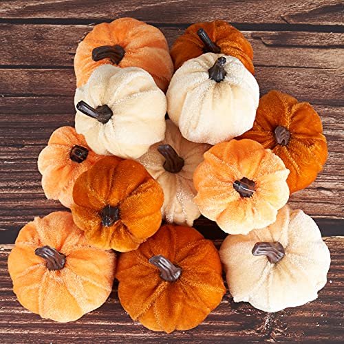 Pumpkin Decor Home Goods