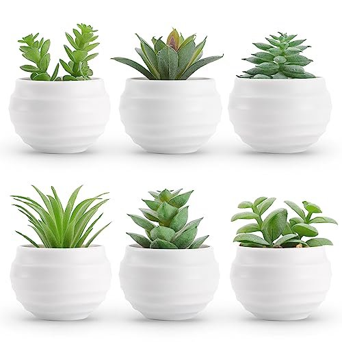 Shelf Decor Items Living Room
