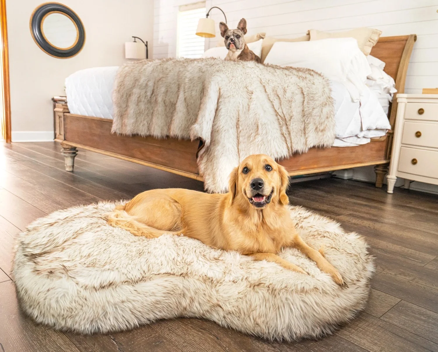 Should Dog Bed Be in Bedroom