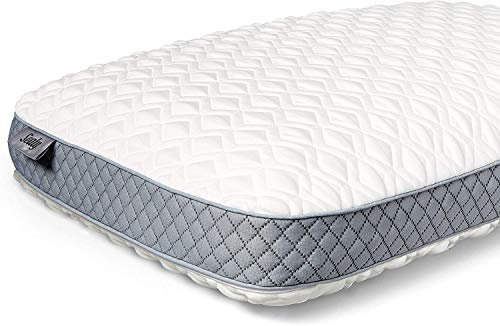 Stearns And Foster Pillows Home Goods