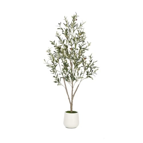 Tree Home Decor