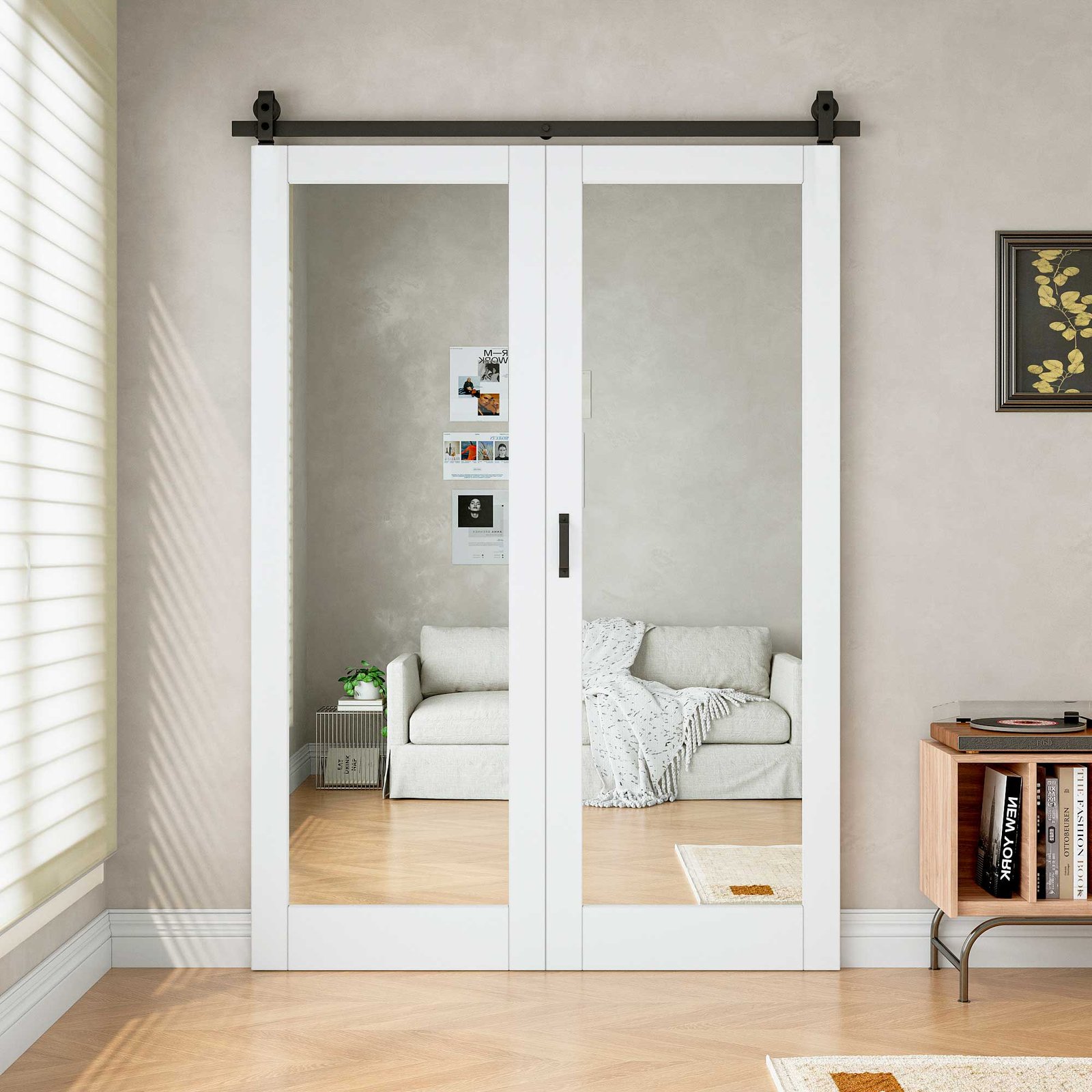 Where to Buy Mirrored Bedroom Barn Door